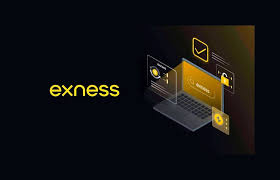 Exploring the Features of Exness FX Broker Exploring the Features of Exness FX Broker
