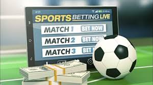 Everything You Need to Know About Wasafi Bet 6 Everything You Need to Know About Wasafi Bet 6