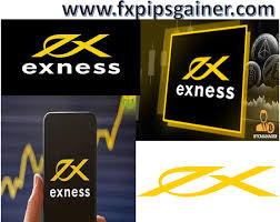 Unleashing the Power of Trading Exness Video Insights Unleashing the Power of Trading Exness Video Insights