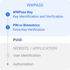 The Ultimate Guide to Single Sign On Simplifying User Authentication