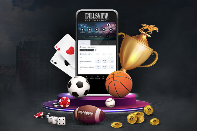 Todo lo que necesitas saber sobre metabet 6